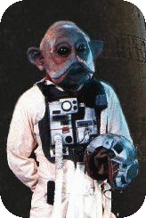 Nien Nunb